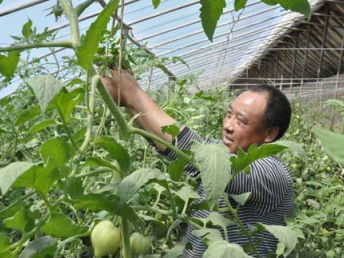 沙井農產品配送公司 以質量與服務雙輪驅動，護航深圳餐飲美食產業鏈