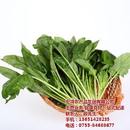 宏鴻農產品集團 一站式食材配送，守護餐桌健康與品質